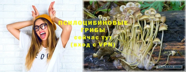 наркотики Абаза