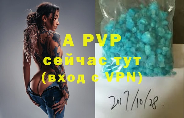 сатива Алексеевка